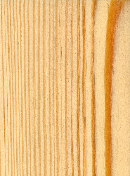 southern yellow pine wood - Jeffco Flooring